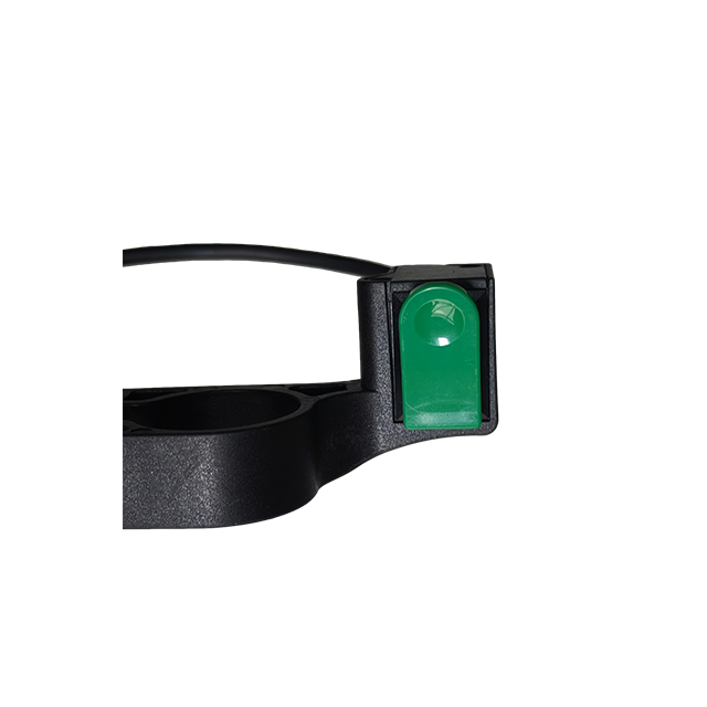Walking assist switch R4